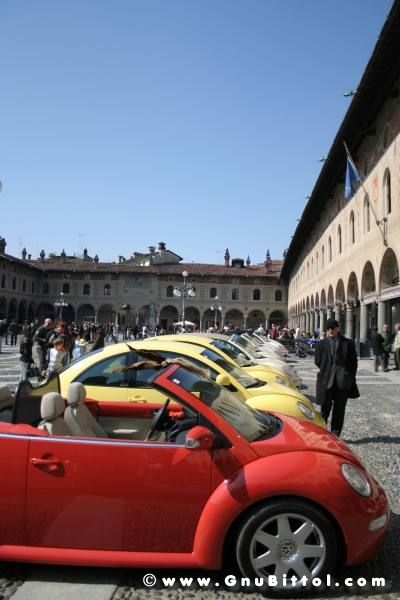 22-03-2009 - SprinGnuBittol 2009