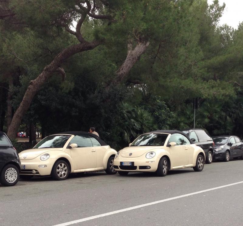 23-09-2007 - BoloGnuBittol 2007