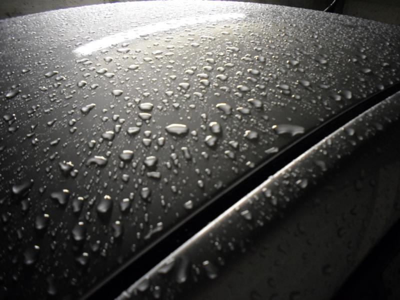 23-09-2007 - BoloGnuBittol 2007