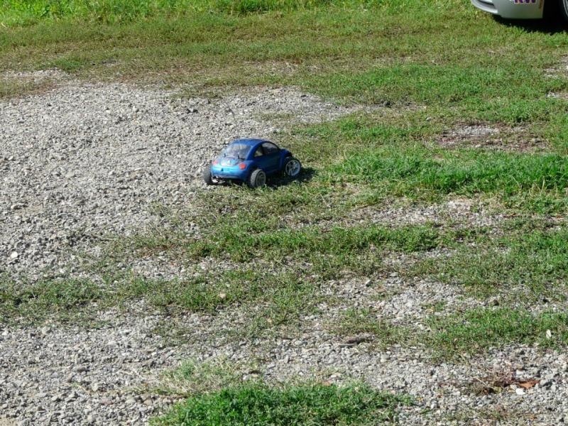 24' raduno gnubittol Appennini di Bologna