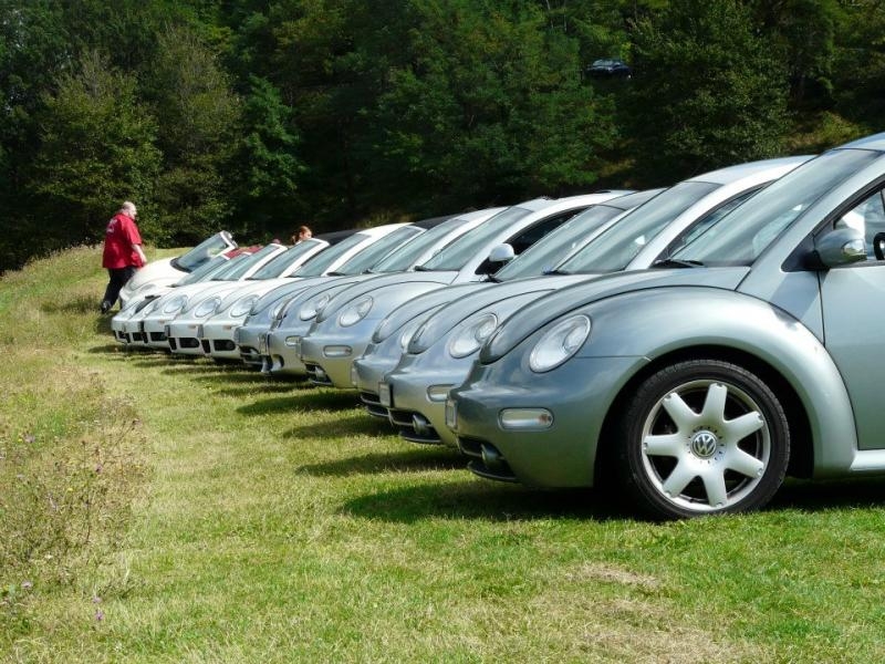 24' raduno gnubittol Appennini di Bologna