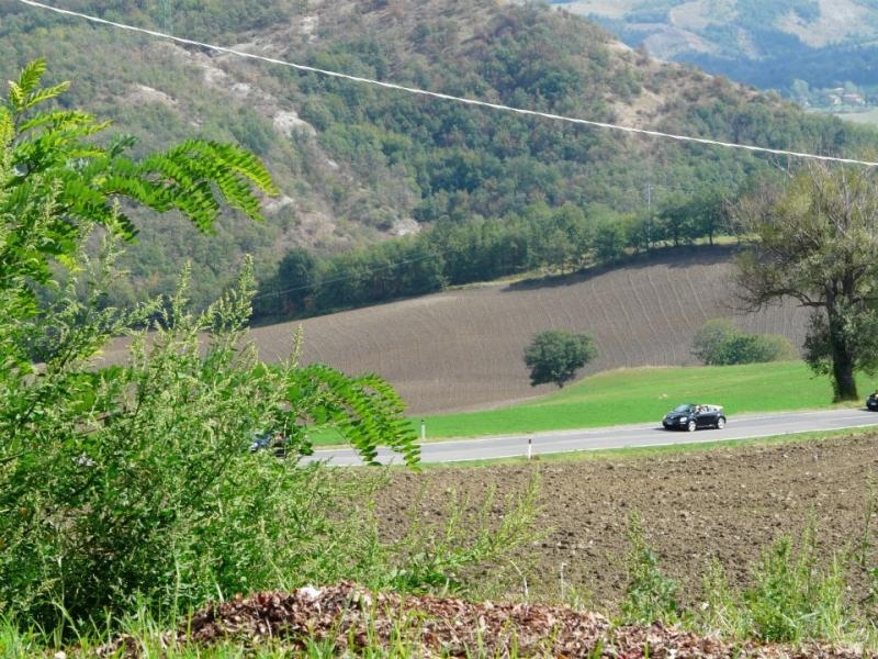 24' raduno gnubittol Appennini di Bologna