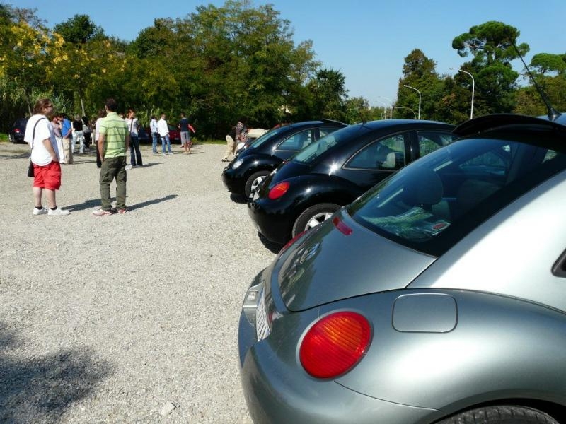 24' raduno gnubittol Appennini di Bologna