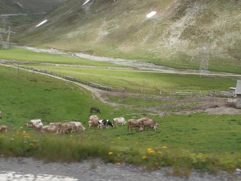 25-09-2011 -  Gnu On The Water 2011