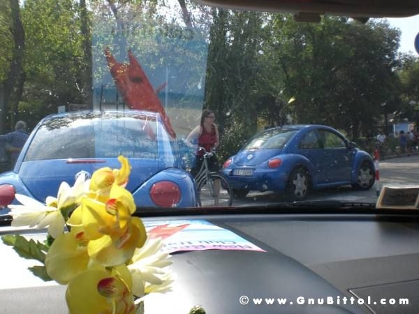 25-09-2011 -  Gnu On The Water 2011