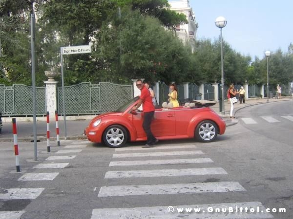 25-09-2011 -  Gnu On The Water 2011