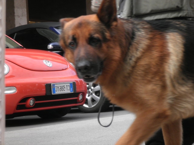 25'esimo meeting in toscana alta 6-7 APRILE 2013