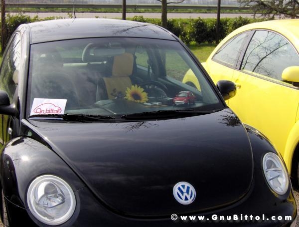 26-03-2006 - SprinGnuBittol 2006