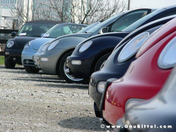 26-03-2006 - SprinGnuBittol 2006