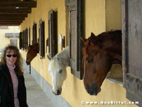 26-03-2006 - SprinGnuBittol 2006