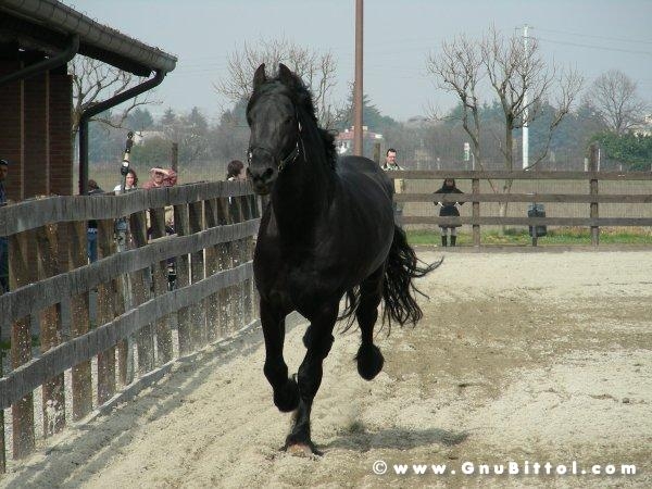 26-03-2006 - SprinGnuBittol 2006