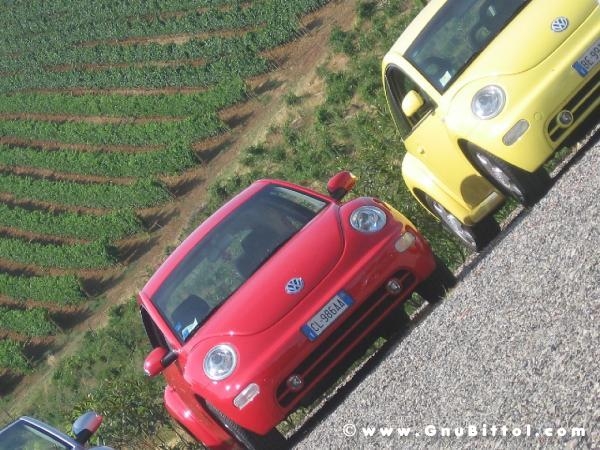 26-03-2006 - SprinGnuBittol 2006