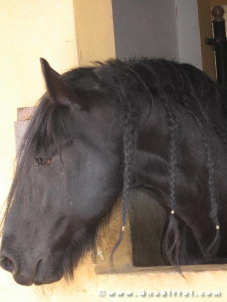 26-03-2006 - SprinGnuBittol 2006