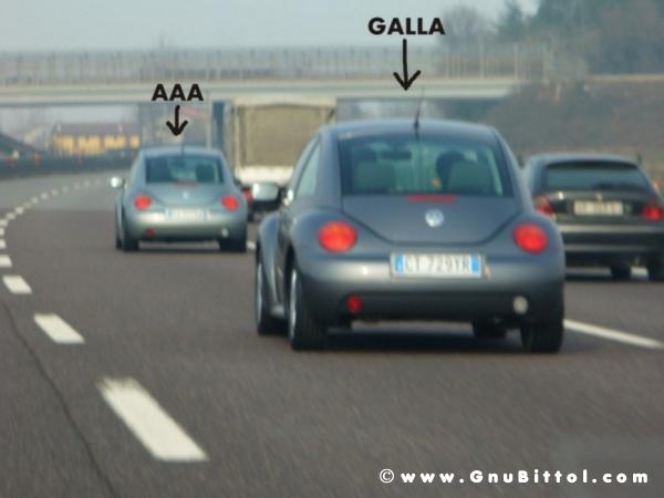 26-03-2006 - SprinGnuBittol 2006