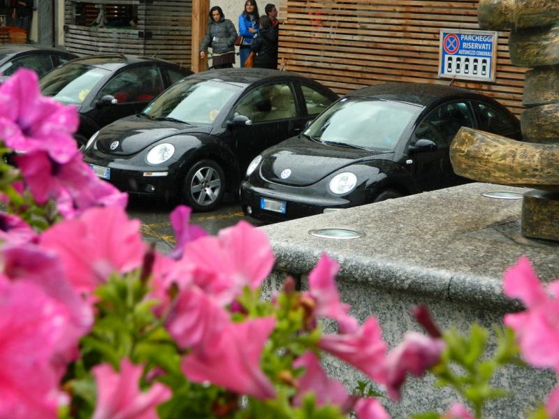 27-11-2005 - Monza 2005