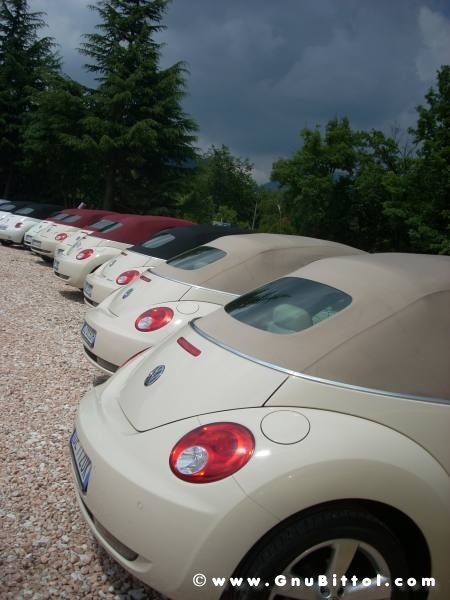 28-06-2009 - scampaGNUata d'estate 2009