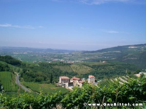 28-06-2009 - scampaGNUata d'estate 2009