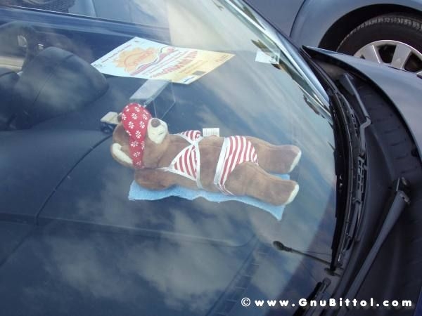 28-09-2008 - romaGNUa mia ! 2008