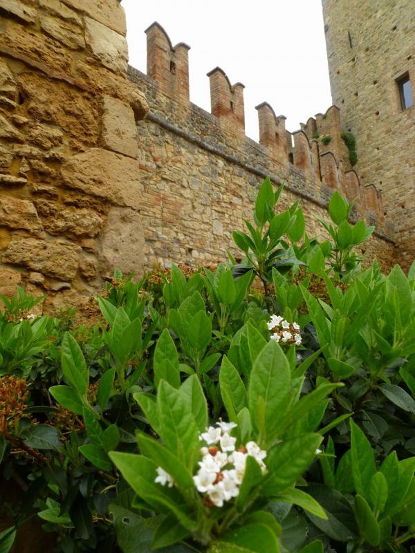 28? Raduno- Castello di Vigoleno (PC)