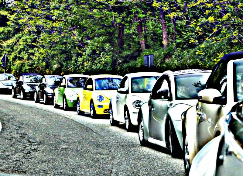 28? Raduno- Castello di Vigoleno (PC)