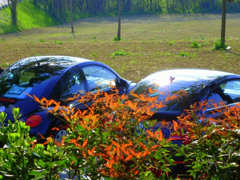 28? Raduno- Castello di Vigoleno (PC)