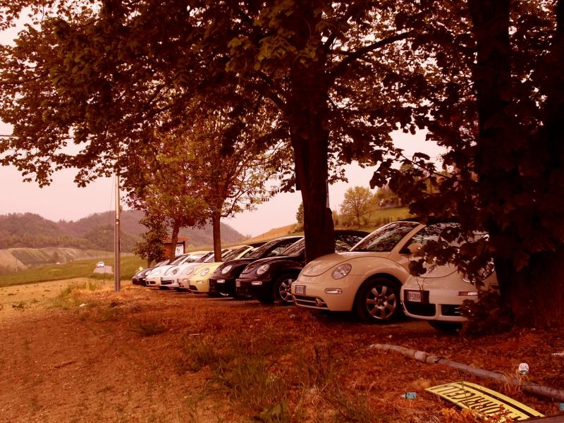 28? Raduno Nazionale - Vigoleno 2014