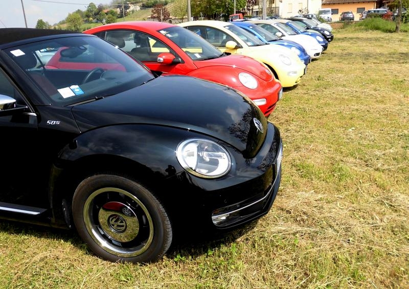 28? Raduno Nazionale - Vigoleno 2014