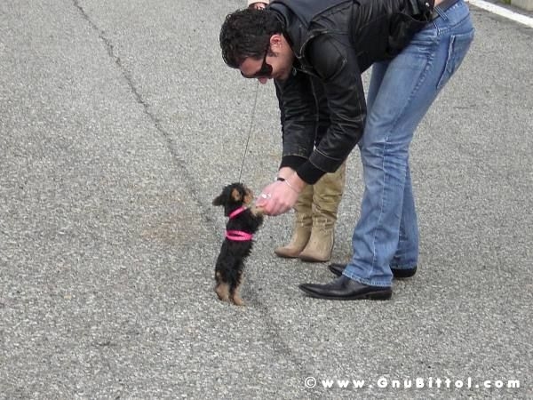 30-03-2008 - pORTA lo Gnu al Lago! 2008
