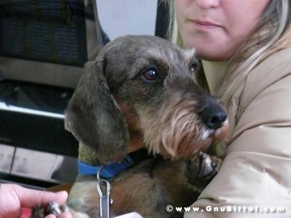 30-03-2008 - pORTA lo Gnu al Lago! 2008