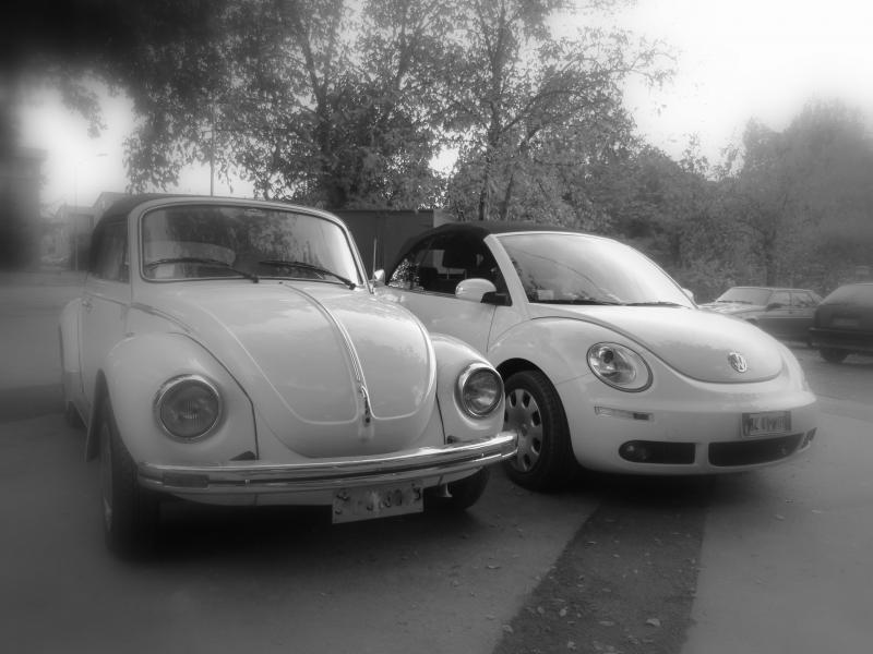 30-03-2008 - pORTA lo Gnu al Lago! 2008