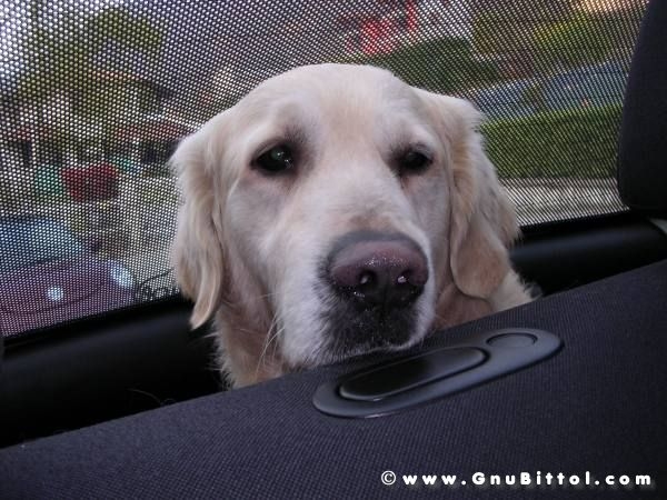 30-03-2008 - pORTA lo Gnu al Lago! 2008