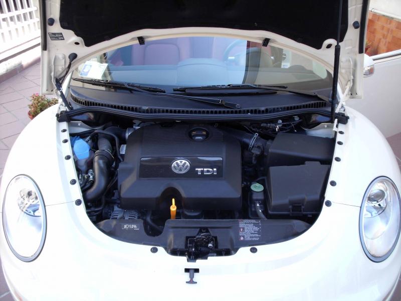 30-03-2008 - pORTA lo Gnu al Lago! 2008