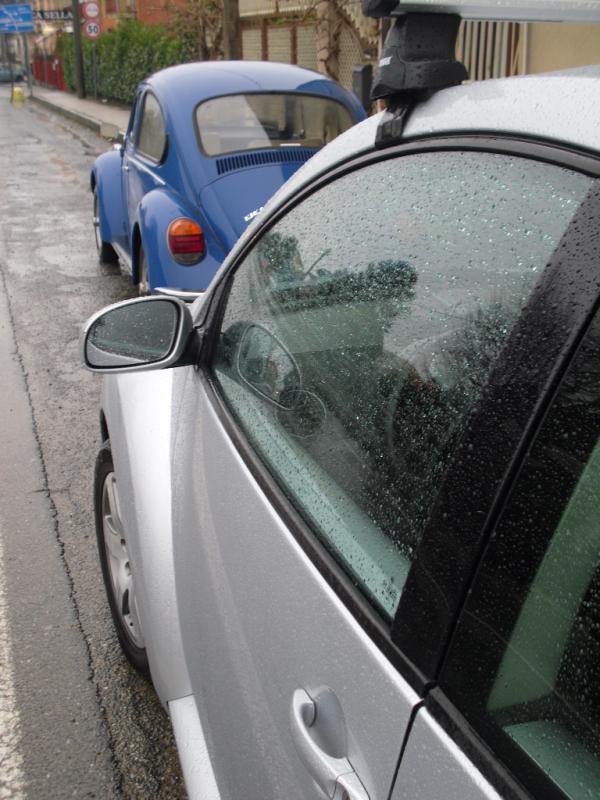 30-03-2008 - pORTA lo Gnu al Lago! 2008