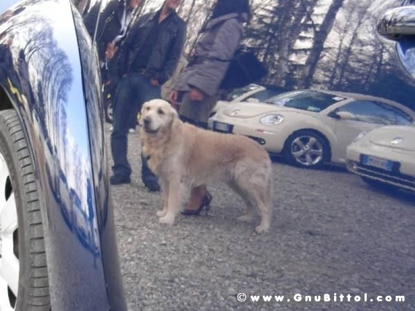 30-03-2008 - pORTA lo Gnu al Lago! 2008