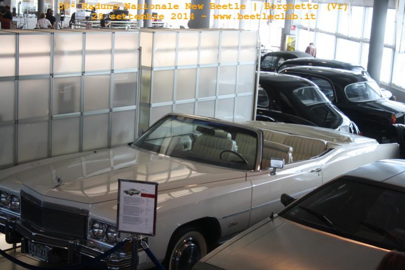 30-07-2005 - Stelle sotto le Stelle