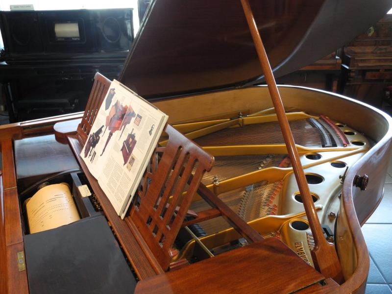 30? Raduno Nazionale a Borghetto