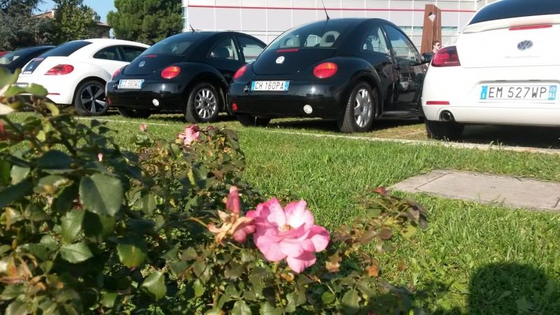 30 ? raduno nazionale ed .... anche internazionale !