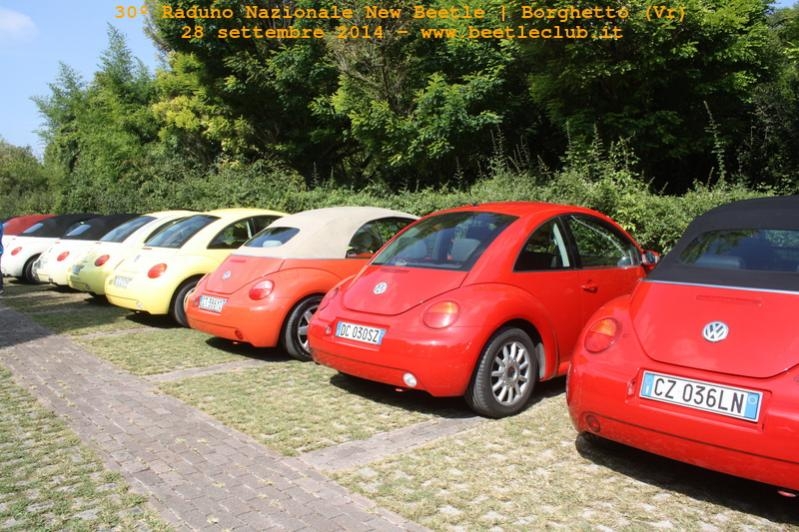 30? Raduno Nazionale New Beetle