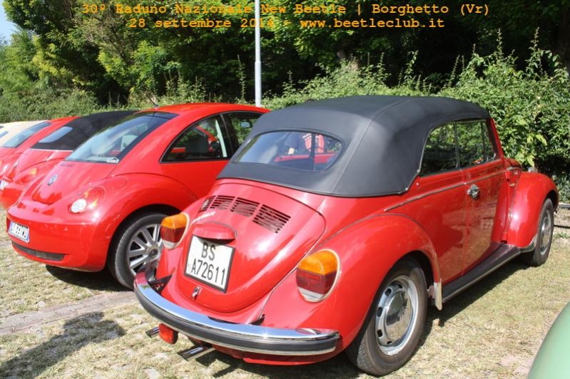 30? Raduno Nazionale New Beetle