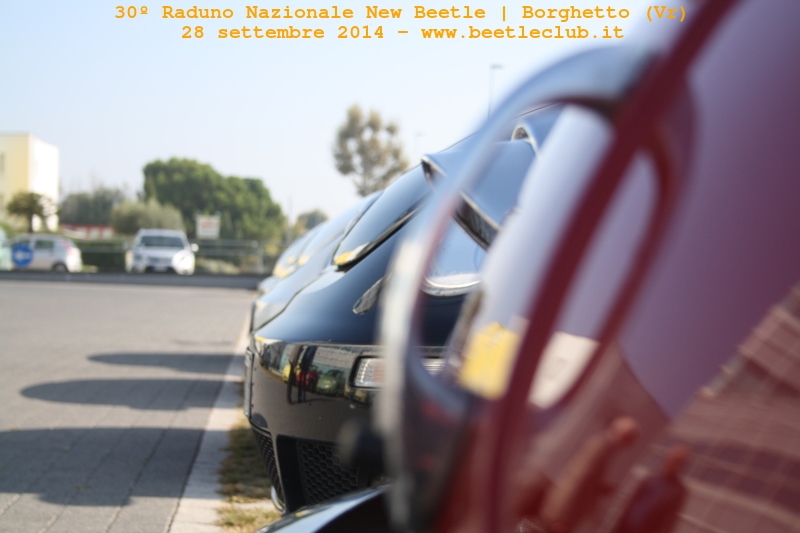 30? Raduno Nazionale New Beetle