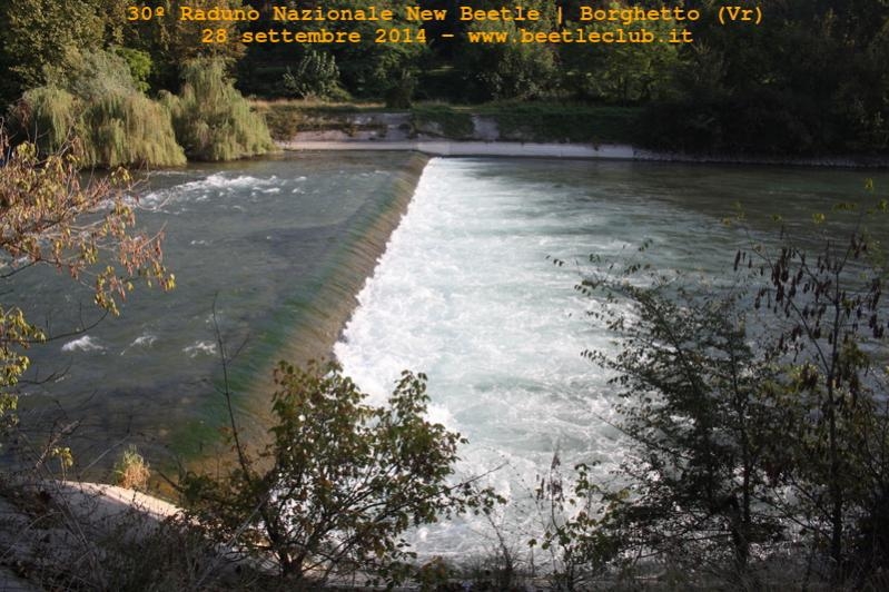 30? Raduno Nazionale New Beetle
