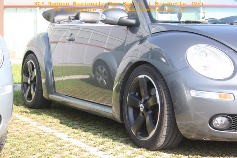 30? Raduno Nazionale New Beetle
