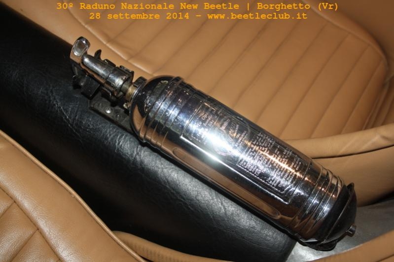 30? Raduno Nazionale New Beetle