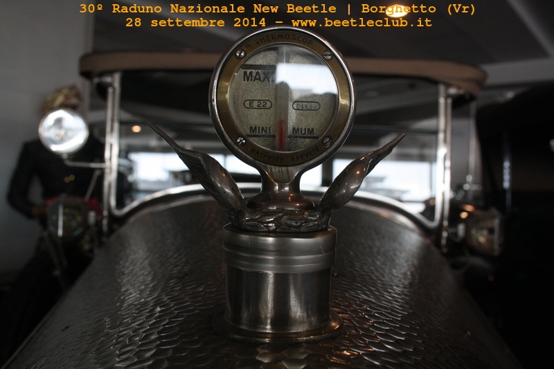 30? Raduno Nazionale New Beetle