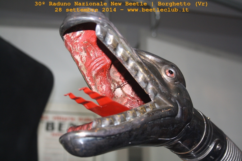 30? Raduno Nazionale New Beetle