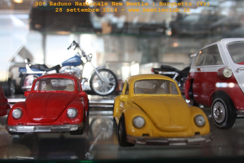 30? Raduno Nazionale New Beetle