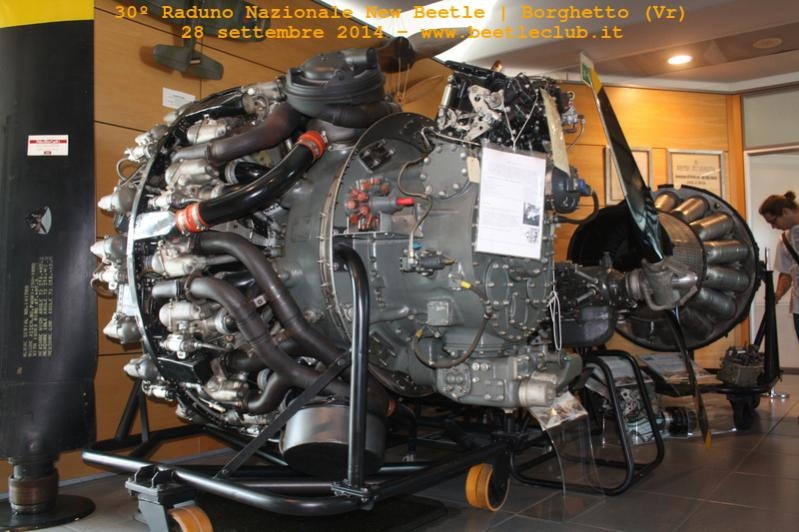 30? Raduno Nazionale New Beetle