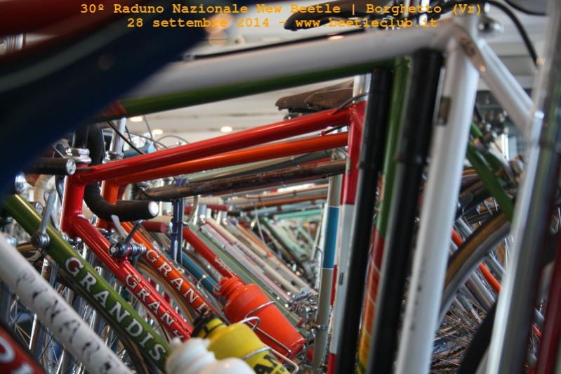 30? Raduno Nazionale New Beetle