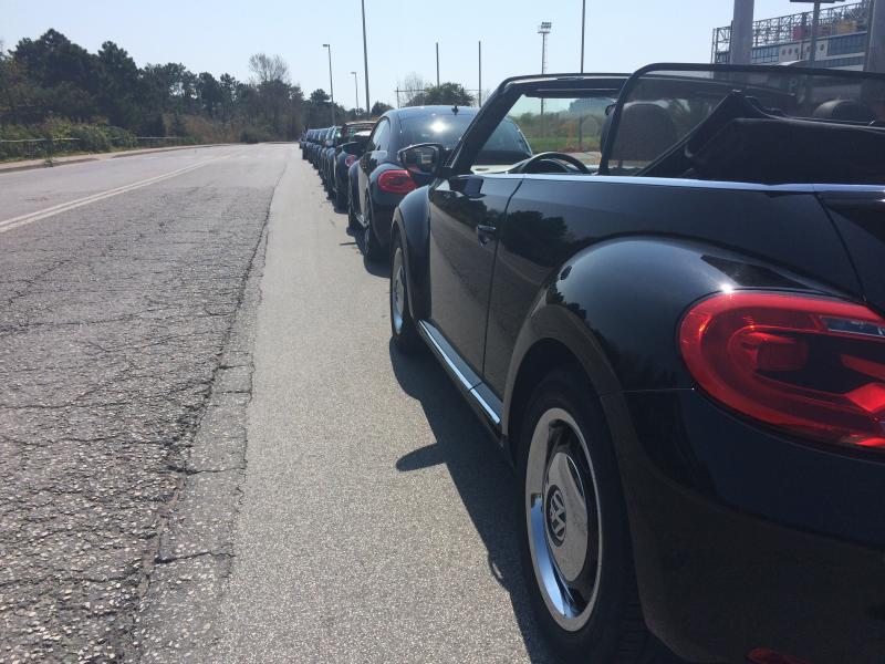 31 raduno nazionale Beetleclub