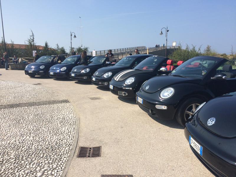 31 raduno nazionale Beetleclub